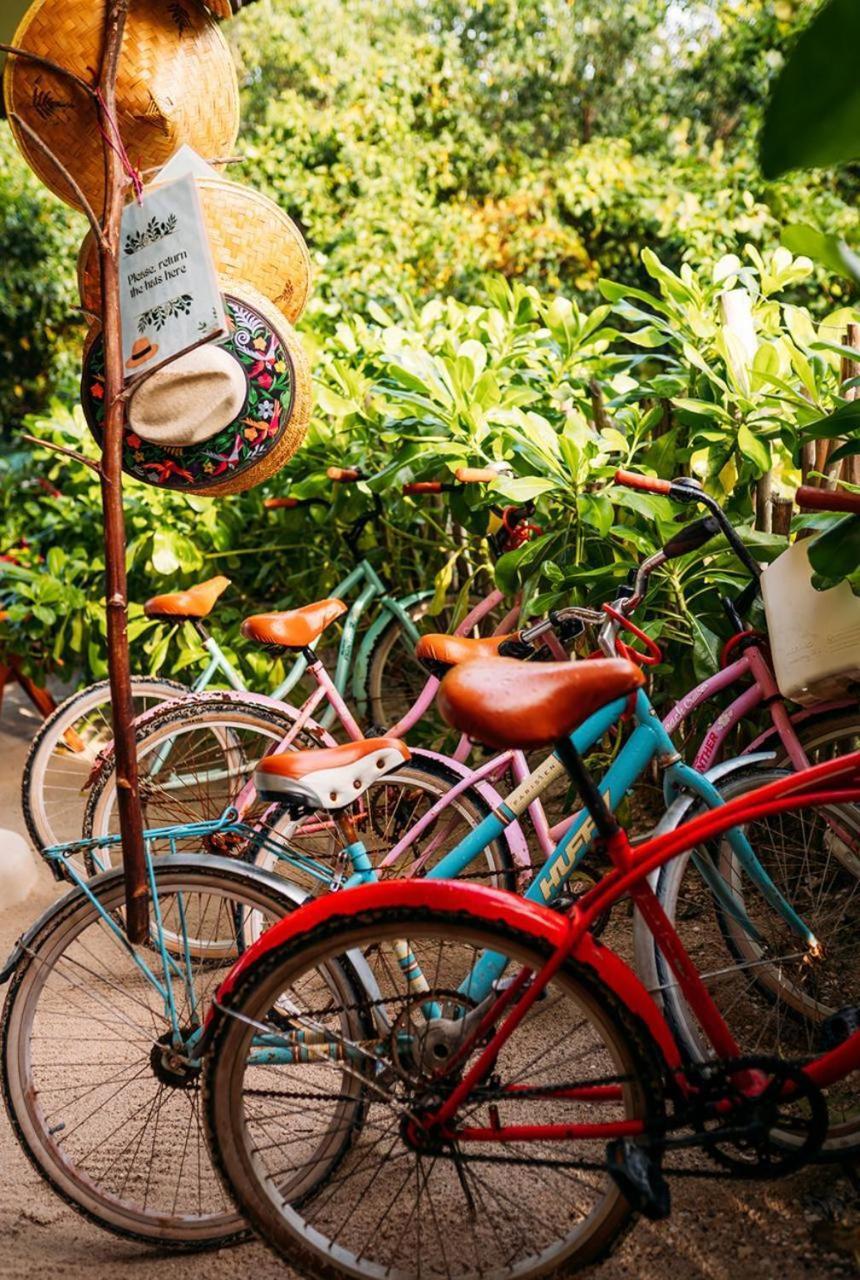 Casa Noma-Noma Holbox Bed and Breakfast Εξωτερικό φωτογραφία